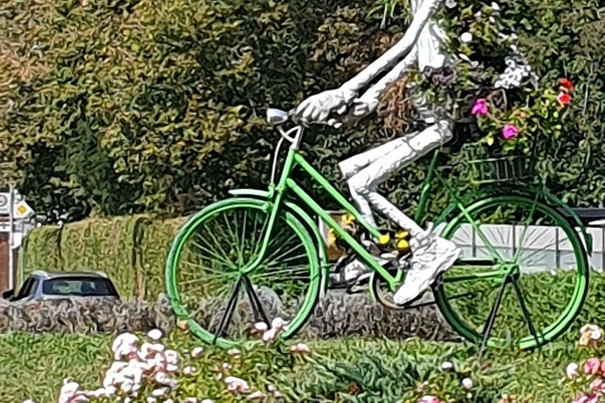 Blumenradler Blumen, Radfahrer
